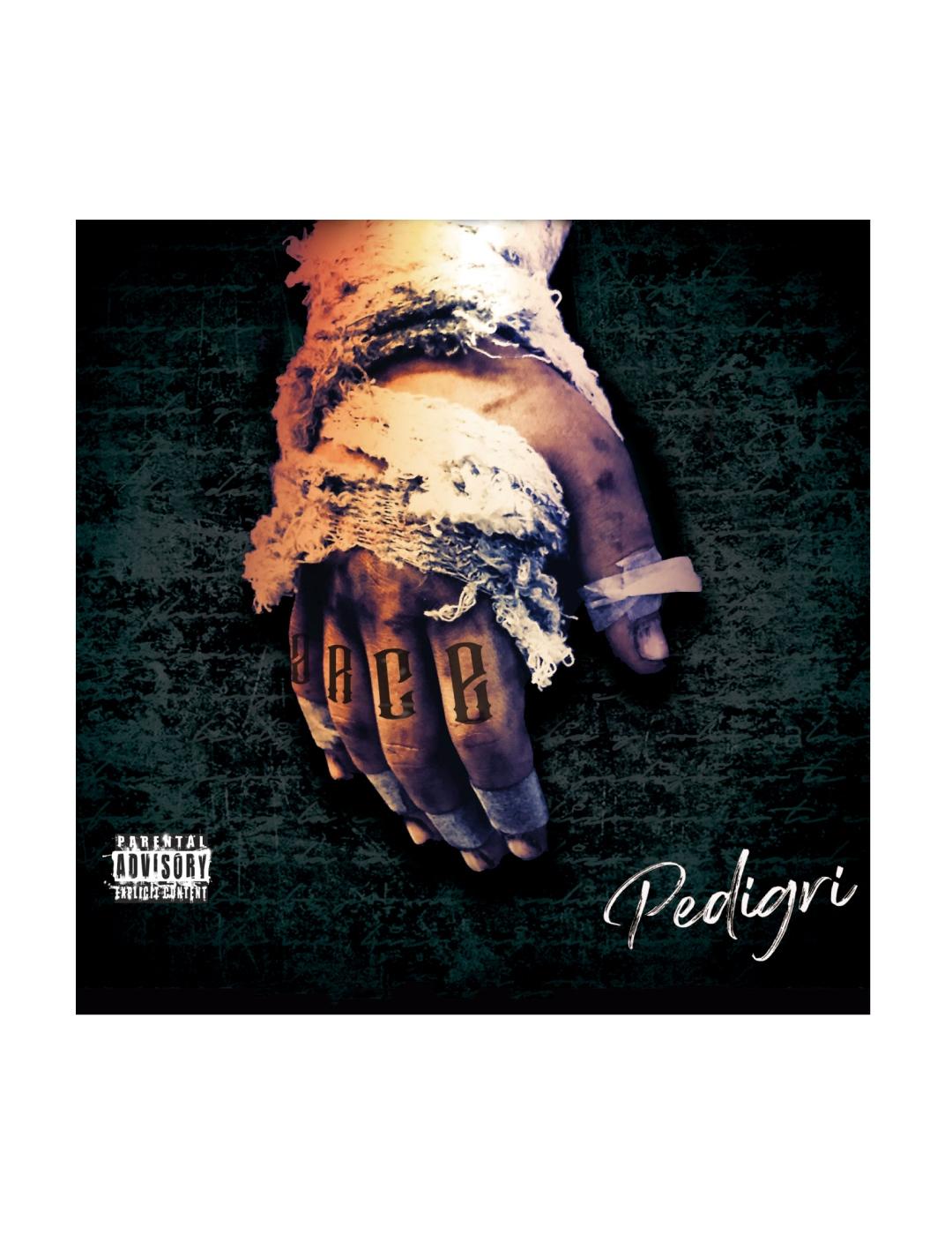 CD Oficial Arce Perro Viejo | Pedigrí